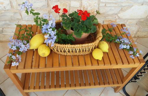 Villa Calendula - Foto 38