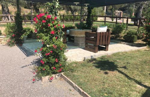 Podere Battegone - Foto 9