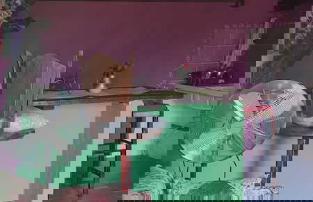 Il nuraghe - Foto 23