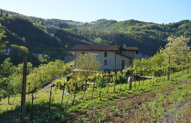 Agriturismo Campo Rosso - Foto 38