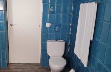 las camelias - Foto 33