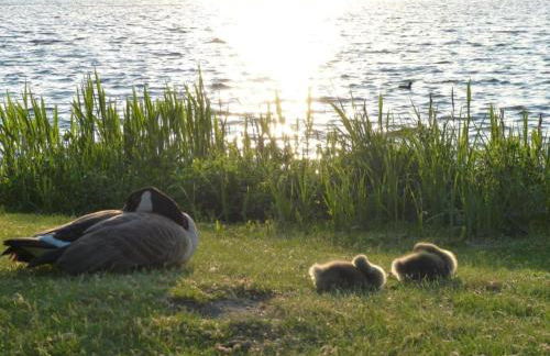 Guest House near Coast - Foto 34