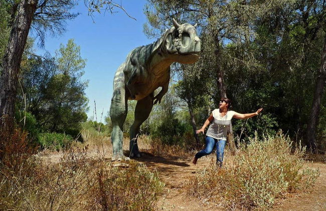 Oferta: Dreams Park Show al completo - Foto 7