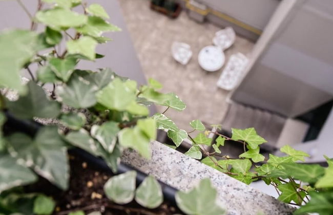 ApartHotel No6 - Foto 59