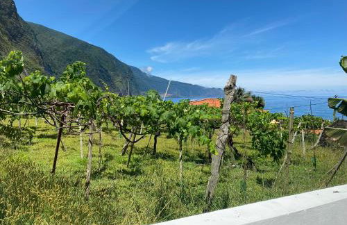 Ocean Garden, 4 units by the ocean - Foto 18