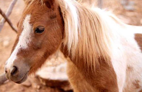 Stone Village Hotel Apartments - Foto 61