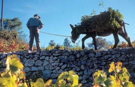 Nike house - Foto 42