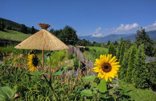 Froetscherhof, Urlaub auf dem Bio-Bauernhof in Brixen, Appartments, Sauna und BrixenCard - Foto 72