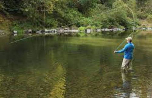 Tranquil Riverfront Retreat - Foto 46