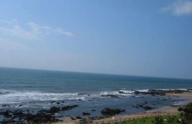 Lazy Lizard - Foto 27