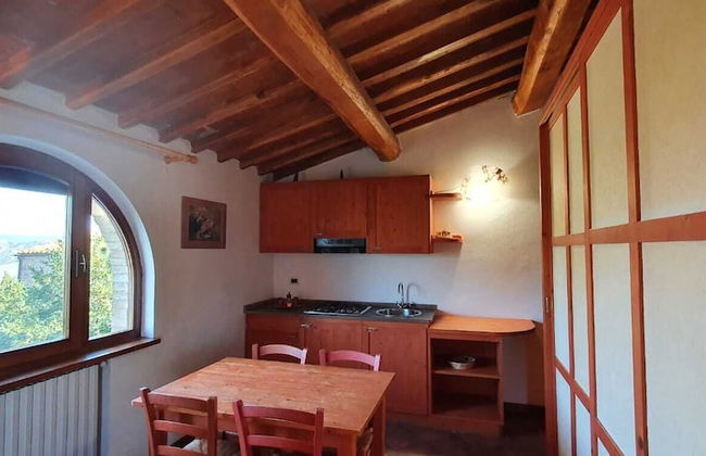 Fattoria Lischeto - Foto 15