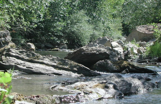 Modern Holiday Home in Imola With Swimming Pool - Foto 33