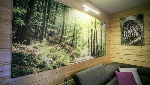 Domek całoroczny SÓWKA na Kaszubach z banią i sauną na wyłączność, wspólny basen i bilard z domkiem Jeleniówka - Ostrowite Leśna Dolina - Foto 5