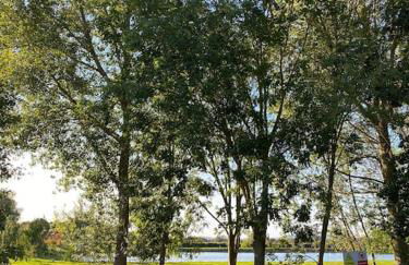 Serafina Cottage - Foto 28