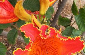 Finca La Punta - Foto 9