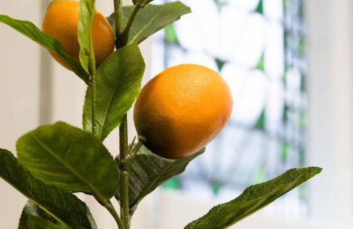 The House Of Selfies - Photo 11