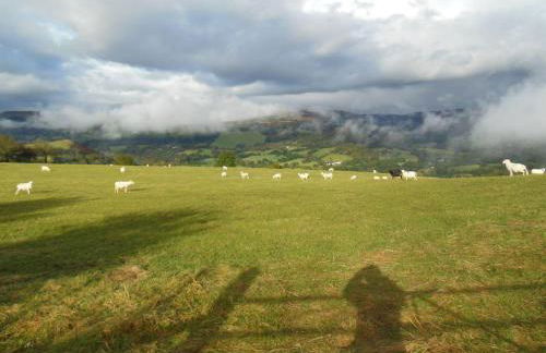 Rhandirmwyn - Cottage - Sleeps 4 - Pet Friendly - Foto 73