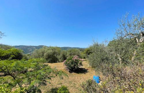 Provençal farmhouse 6 guests Peymeinade near Cannes - Foto 32