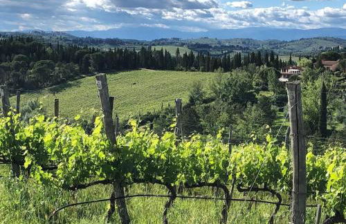 FAETOLE typical Tuscan country house near FLORENCE - Foto 37