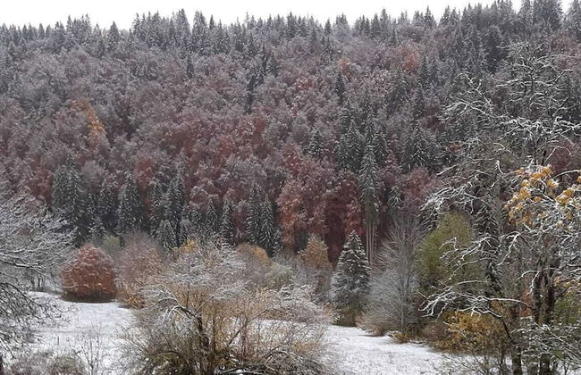 Gites Les Loges d'Arbez - Foto 26