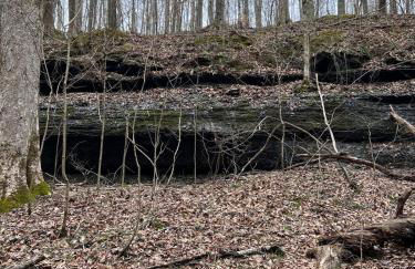 Turkey Creek Cabin Rentals #2 at Tims Ford lake - Foto 25