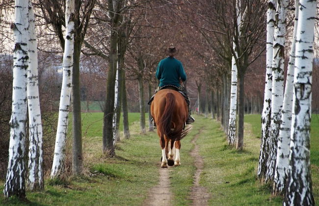 Apartment in Ondenval Near Malmedy - Photo 12