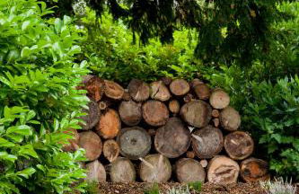 The Gardener's Cottage - Foto 6