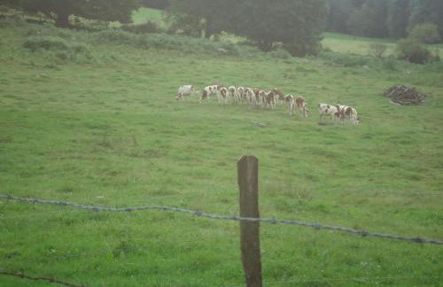 Gîte nature rénové dans les Vosges Saônoises - FR-1-583-459 - Foto 31