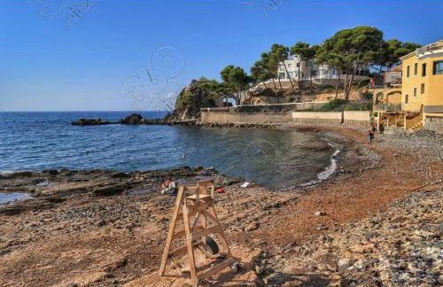 Altea Flying Whale - Photo 34