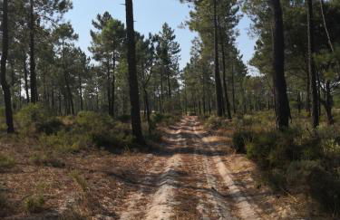 Casa das Pérgolas - Foto 34