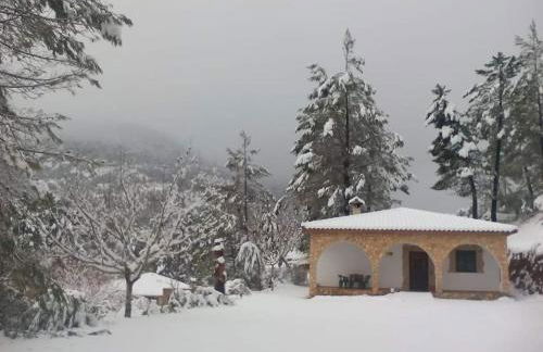 CASAS RURALES LA TOBICA - Foto 7