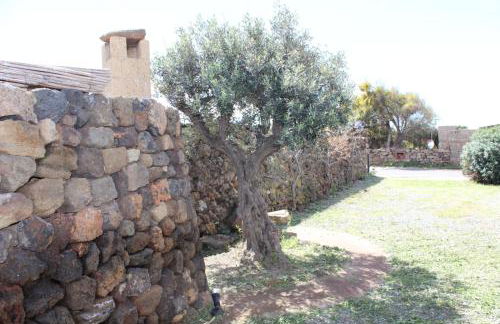 IL VIGNETO - Foto 26