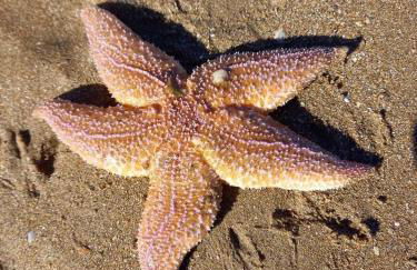 VILLA CATHY - Foto 9