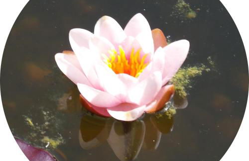 Gemütliche Gästezimmer in einem neu sanierten Fachwerkhaus - Foto 23