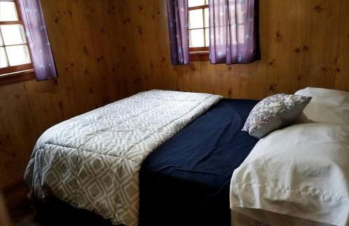 Delightful Waterfront Cabin with Views of Pine Lake near Wellston, Michigan - Foto 7