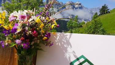 Lüch de Corona - Photo 2