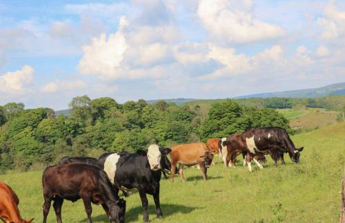 Hope Cottage - Foto 31