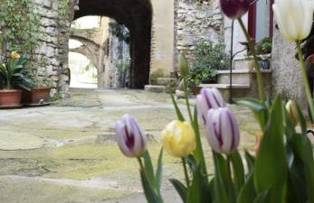 Appartamento Anna - Foto 38