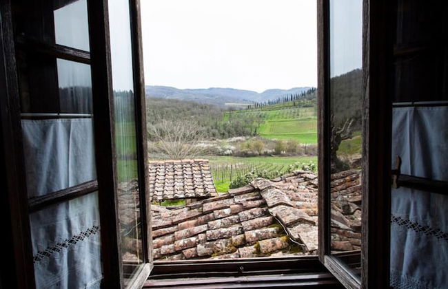 Podere Terreno alla Via della Volpaia - Foto 22