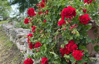 Il Nido del Falco nelle Antiche Mura - Foto 73