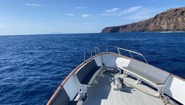 Avistamiento de delfines y ballenas en el sur de La Gomera - Foto 2, Navegando por la costa sur de La Gomera