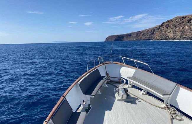 Observation de dauphins et de baleines à La Gomera - Photo 1