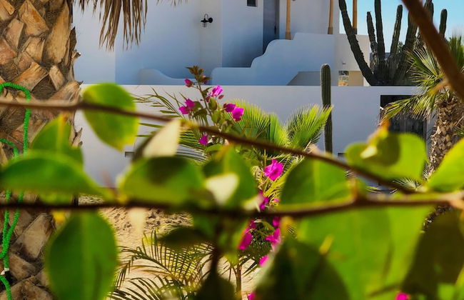 The Freesouls Residences Cerritos Beach - Foto 80