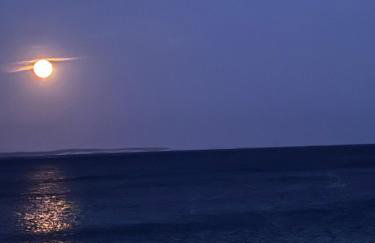 Blue Sea Villa & Apartments - Foto 3