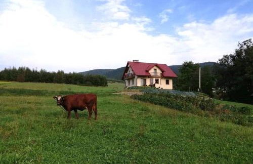 Nad Strumykiem - Photo 15