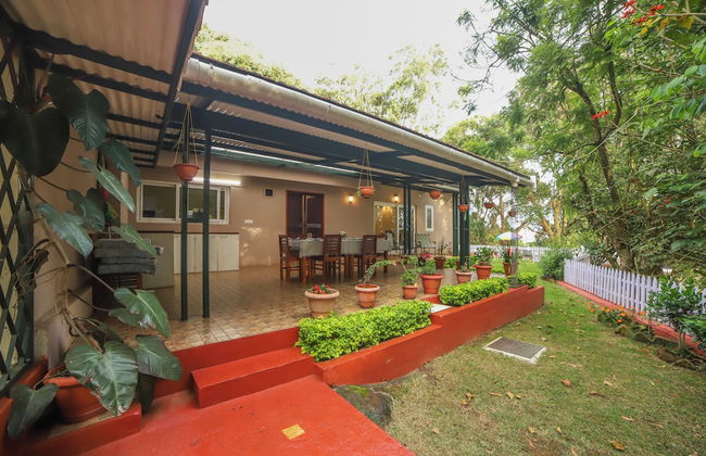 Rayne Forest - Foto 25