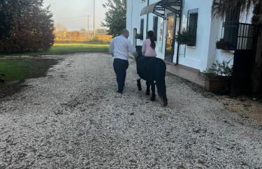 Agriturismo Carne Sicura - Foto 7