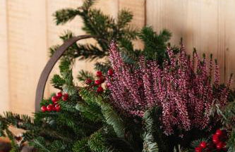 Agriturismo La Daga - Foto 46