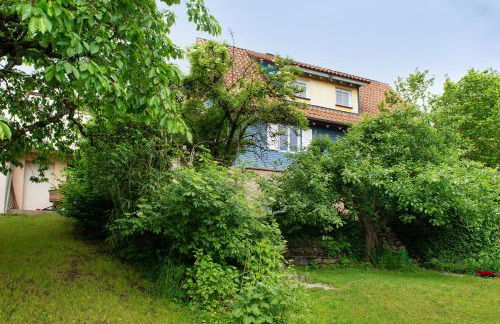 Das blaue Haus - Foto 22