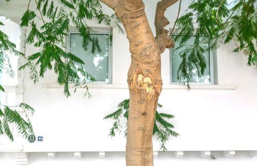 EDI Astoria - Foto 54